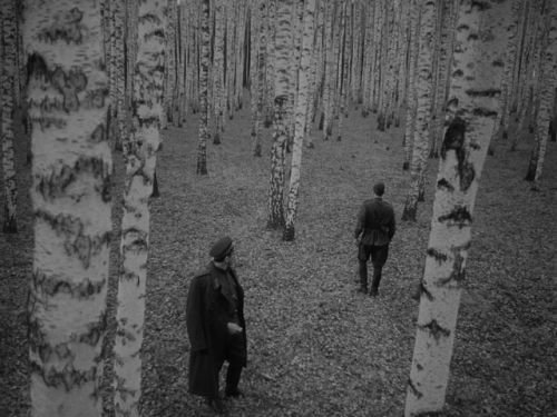 smnmblst: Ivan’s Childhood (Andrei Tarkovsky, 1962)