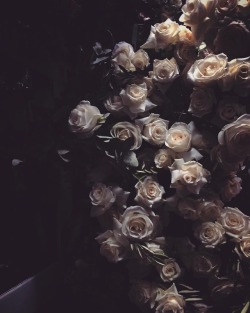 andantegrazioso:  Roses of my darkness |