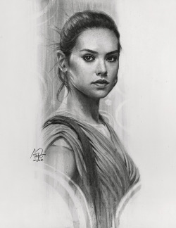 pixalry:   The Force Awakens Charcoal Portraits -