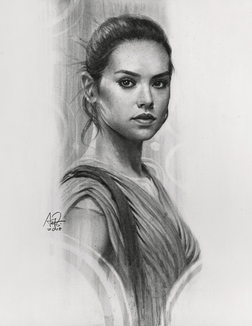 Porn photo pixalry:   The Force Awakens Charcoal Portraits -