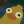 killorbekillian:duckymomo-enthusiast:the caption says: “Guys I’m so tired and I couldn’t get through it I’m sorry”1: Honey, I’m - what are you doing?!2: Babe, it’s not what it looks like!3: [Platypus noise]1: You’re sleeping with another