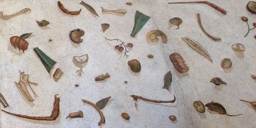 worldhistoryfacts:The “messy floor” mosaic from a villa in Rome circa 100 CE. The asàrotos òikos, or