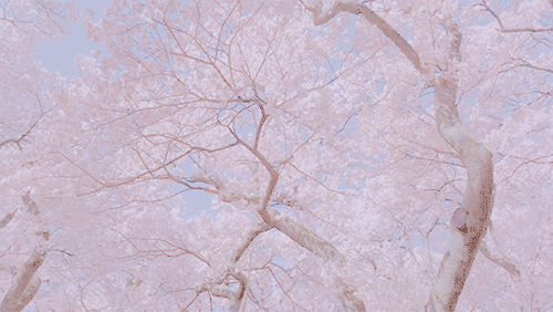 changmi-i: