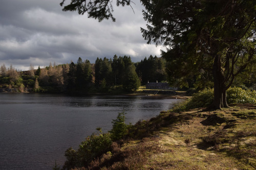 Loch Ordie WalkJust like last year, I decided to spend my birthday hiking up to Loch Ordie. It took 