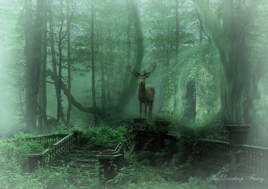 radivs:  The Forgotten Garden by The Dewdrop Fairy    Stocks used:     Mystical