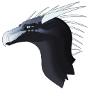 dragonprincedrake avatar