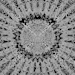 lareinederien-eros:Repository of yumminess