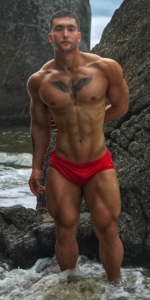 hunksintrunks-x: