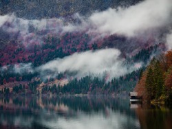 Ponderation:  Heaven Is A Little Closer In A Home By The Lake By Suman Bobba   