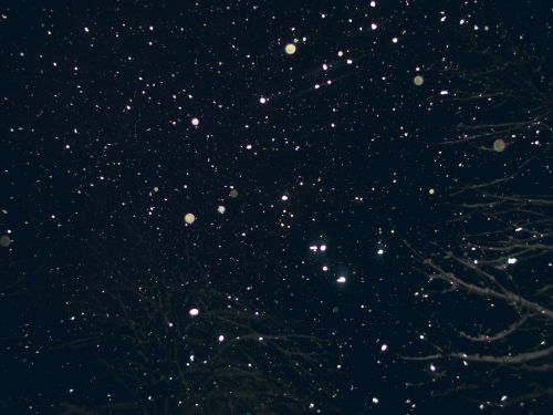 m-arvelousthings:  look at all the snow! It’s so pretty tonight :] 