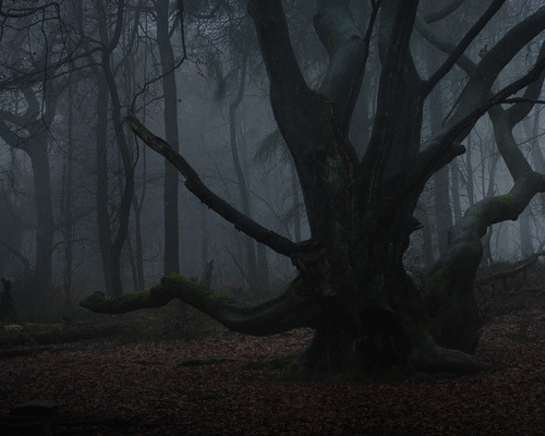 requiem-on-water:  Al Brydon