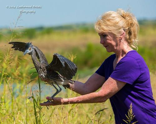 softpunkbucky:oxytocinwanted:intergalactic-dragon:So the only all-birds rehab center