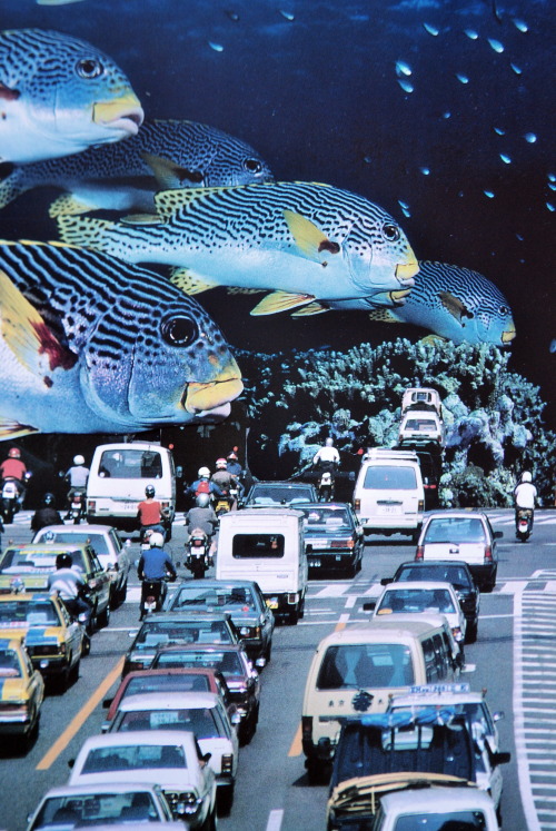 johnturck:  Takin’ Care of Business, handmade collage http://society6.com/Turckart https://www.youtube.com/watch?v=1dSzaScsWh4 