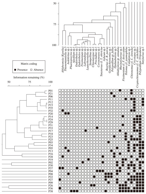 Chironomidae occurrence in the collection sites of two-way cluster analysis.