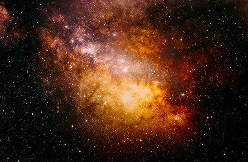 drxgonfly:SC Milky Way  (by Anthony Harle)Photographer’s Website
