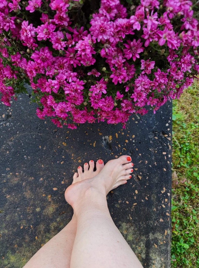 goddesstraci76-deactivated20221:Pretty flowers but even prettier feet for your day!