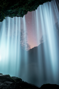 tulipnight:  Space Within by LongExposures .co.uk