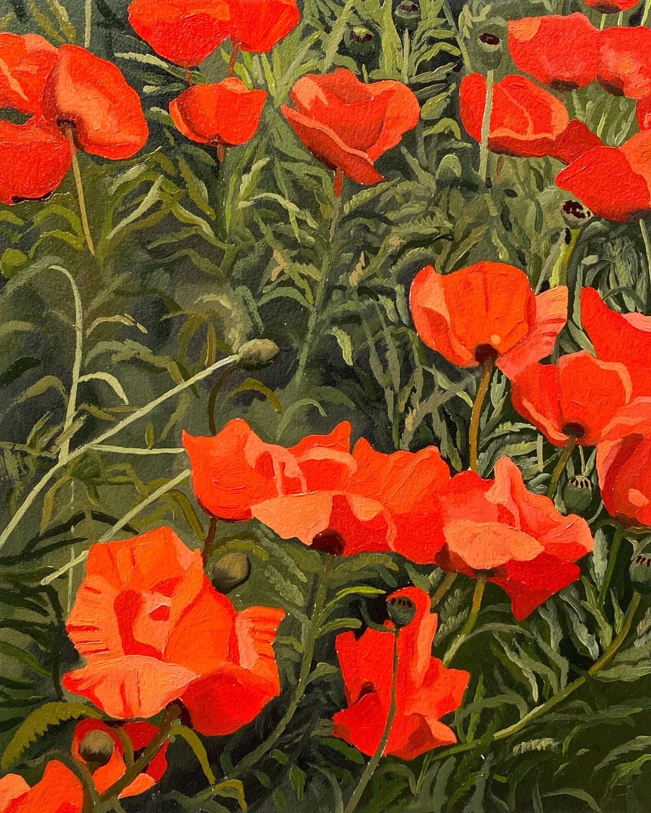 leahgardner-art:I’ve always loved poppies porn pictures