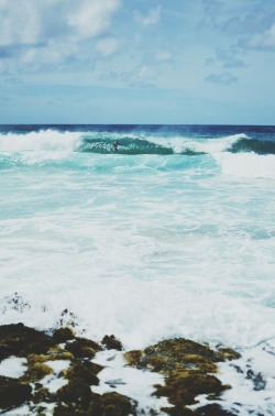 sassafranski:  Kauai has such beautiful waves.