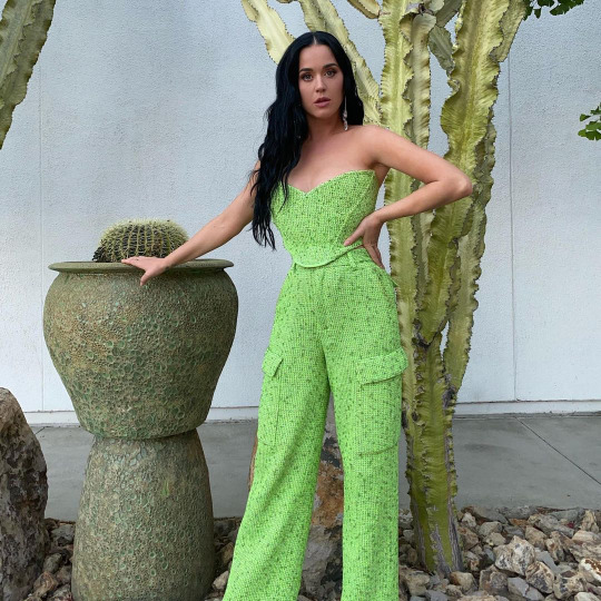 dailykaty:katyperry: you’re only as good as your glam (watch @americanidol again tomorrow k byee) 🌵💚