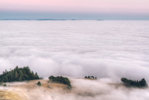 softwaring:  Continents & Washed; Arthur Chang