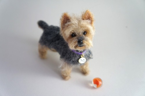 A needle felted Yorkie based on pet image.  One of my favorite breeds to make!