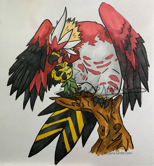 Braviary combined with TalonflameHad to do a Braviary Combo after playing Pokemon Legends Arceus, ab