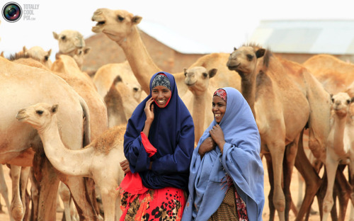 Somali women talk as their camels wait for their turn to drink water from a tank near Harfo, 70 km f