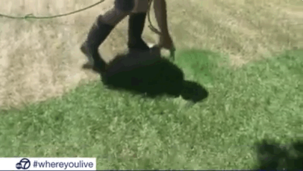 keepcalmandcarrieunderwood:  luminous-lily12:  moniquill:  knowanoah: Stop telling