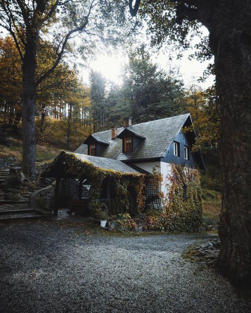 wild-cabins:  Johannes Hulsch