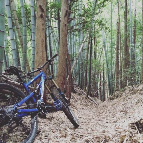 f9dtkfm2:  2015.11.22 Ride day