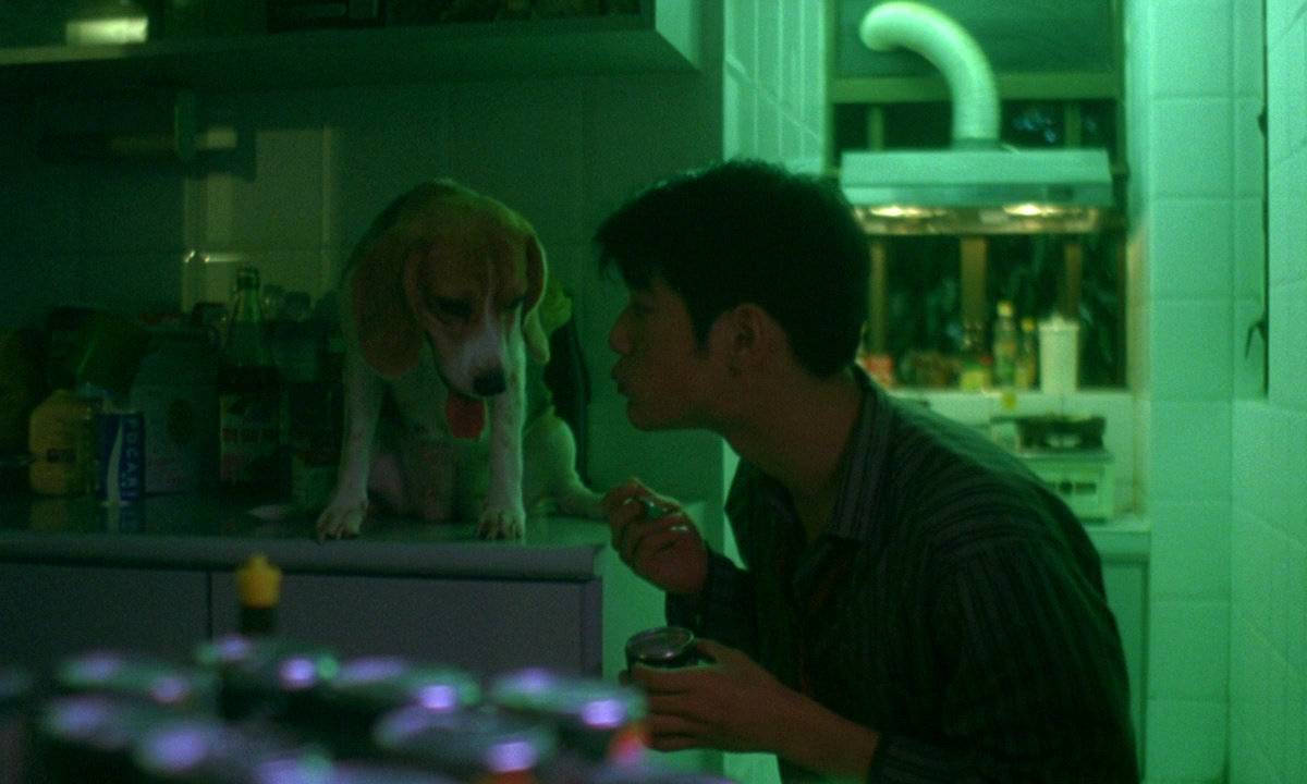 inthemoodtolove: Takeshi Kaneshiro in Wong Kar-wai’s movies