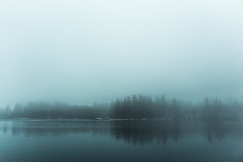 kevinwiesel:Oderteich | Harz National Park | Germany