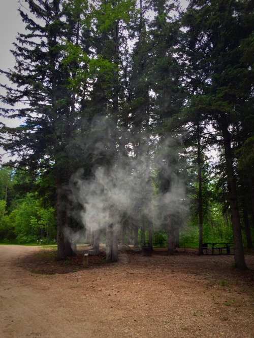 baked-pancakes:  Blunt smoke 😻 