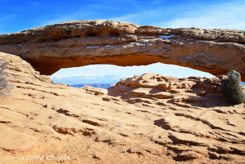 jadewolf-photography: Mesa Arch Canyonlands National ParkIsland in the SkyMoab, Utah