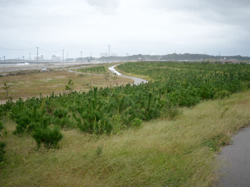 Shelterbelt, Shinch, Fukushima, 2020 防砂林, 新地, 福島, 2020http://nanjotoshiyuki.com/shelterbelt http://n