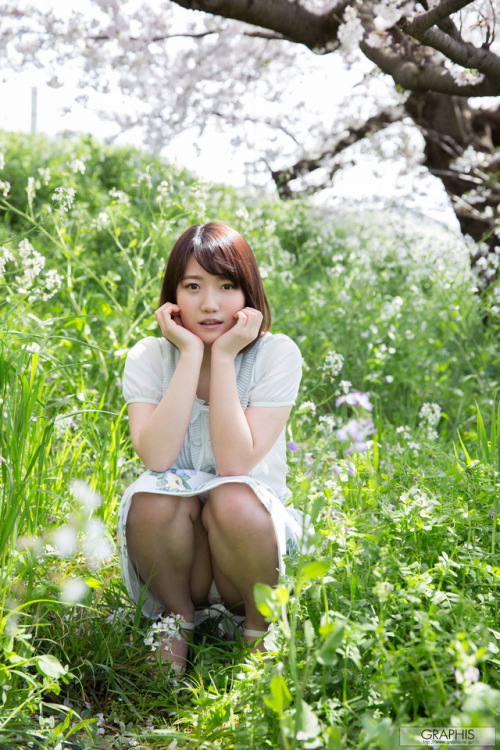 gra-photo: 菊川みつ葉 / mitsuha kikukawa（graphis - Fresh seedlings - 01）