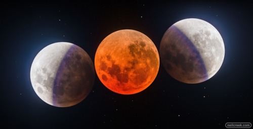 Lunar Eclipse in Three Stages - And finally here’s my last Lunar eclipse photo. This time from