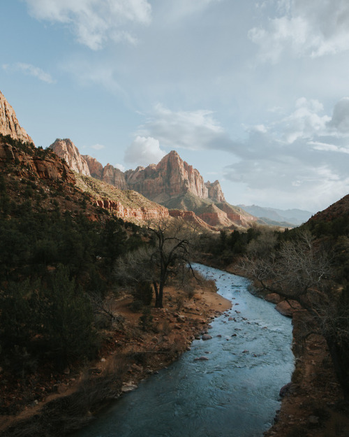 billkimphoto:Zion National Park