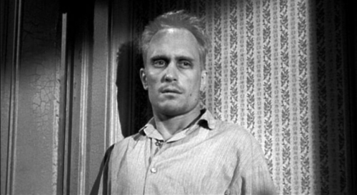 thrilled:  boo radley taught edward scissorhands how to be a bangable introvert