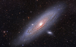 cosmicvastness:    M31, The Andromeda Galaxy