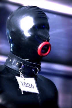 Next is lot 1026. This male is well trained and will do any command without hesitation. The 25 year old virgin has not cum in a year. It is heavily tattooed with humiliating and degrading words also with a chastity belt welded on. The owner asked could