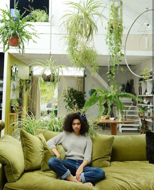 artofvibration:@urbanjungleblog