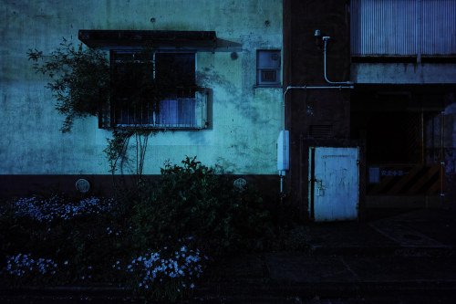 Guen-k (Japanese, b. Shizuoka, Japan, based Kitakyushu, Fukuoka, Japan) - Photography