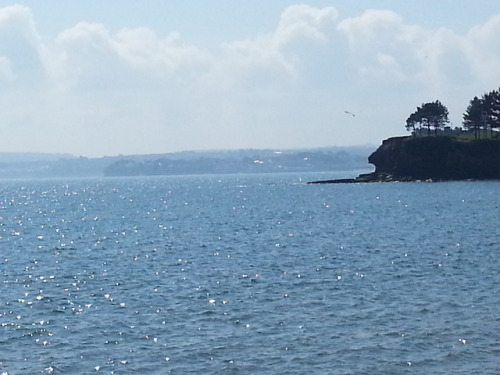 Porn Pics srj1990:  Torquay looked beautiful today