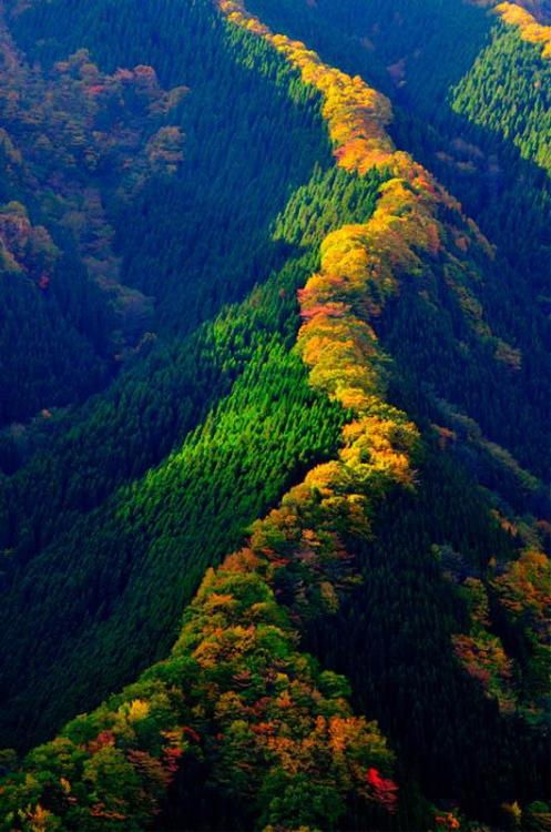 afineandprivateplace: Namego Valley, Tenkawa Mountain, Japan