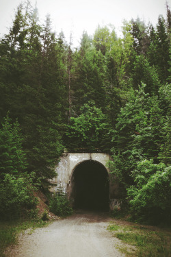 aphelia:  (by Dangerous…Dan) 