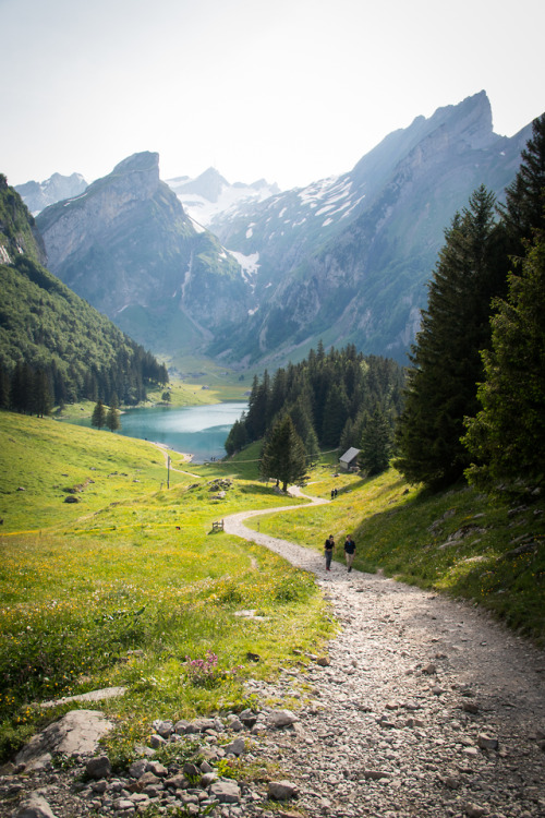 czechthecount:path to the lake..