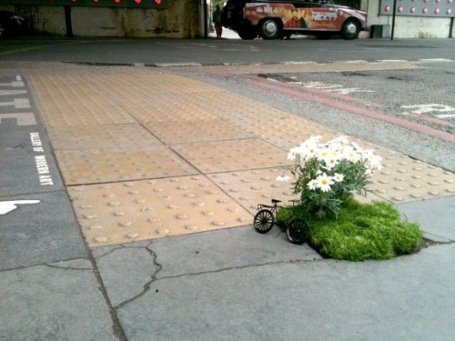 Hi! I'm Looking To Start Guerrilla Gardening And You Seem Like You'd Know About That So I Wanted To Ask,