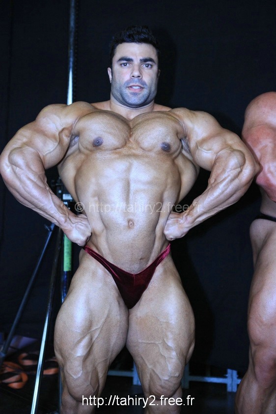 MUSCLE